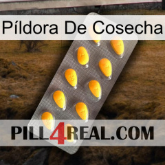 Píldora De Cosecha cialis1